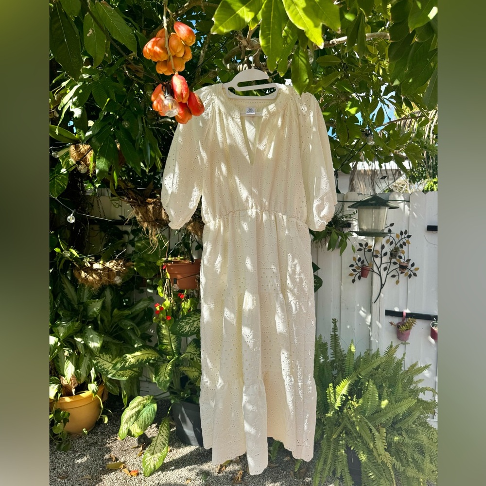 Cream Puff Sleeve Dress